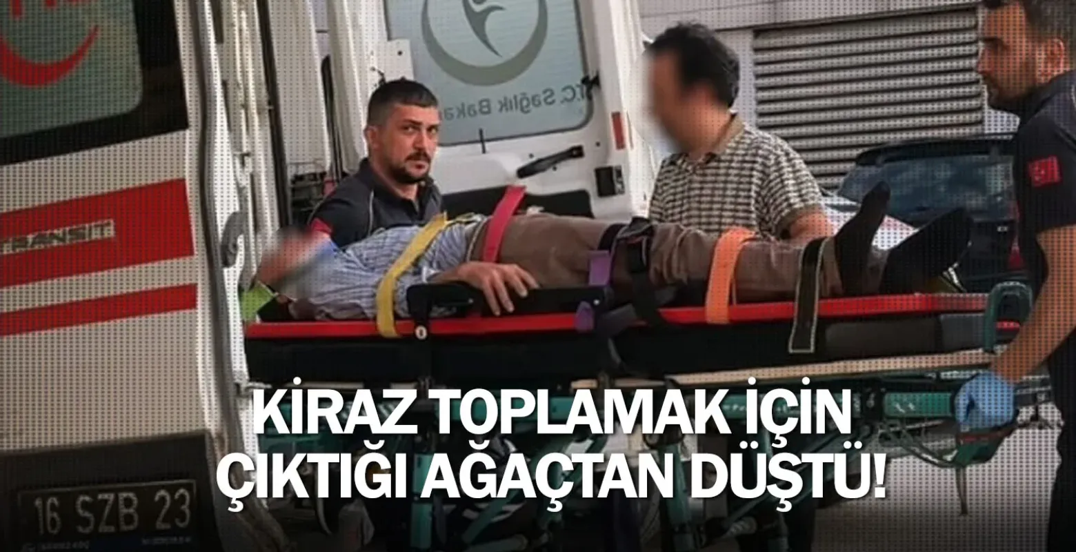 Kiraz toplamak için çıktığı ağaçtan düştü!