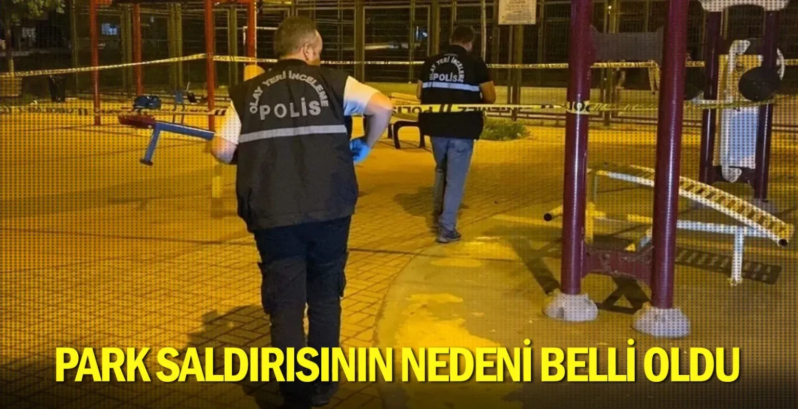 Park saldırısının nedeni belli oldu