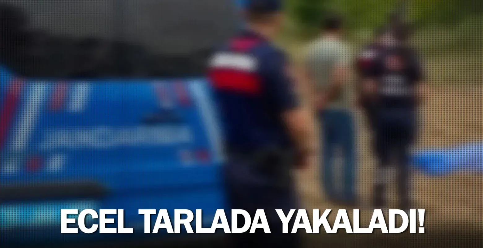 Ecel tarlada yakaladı!
