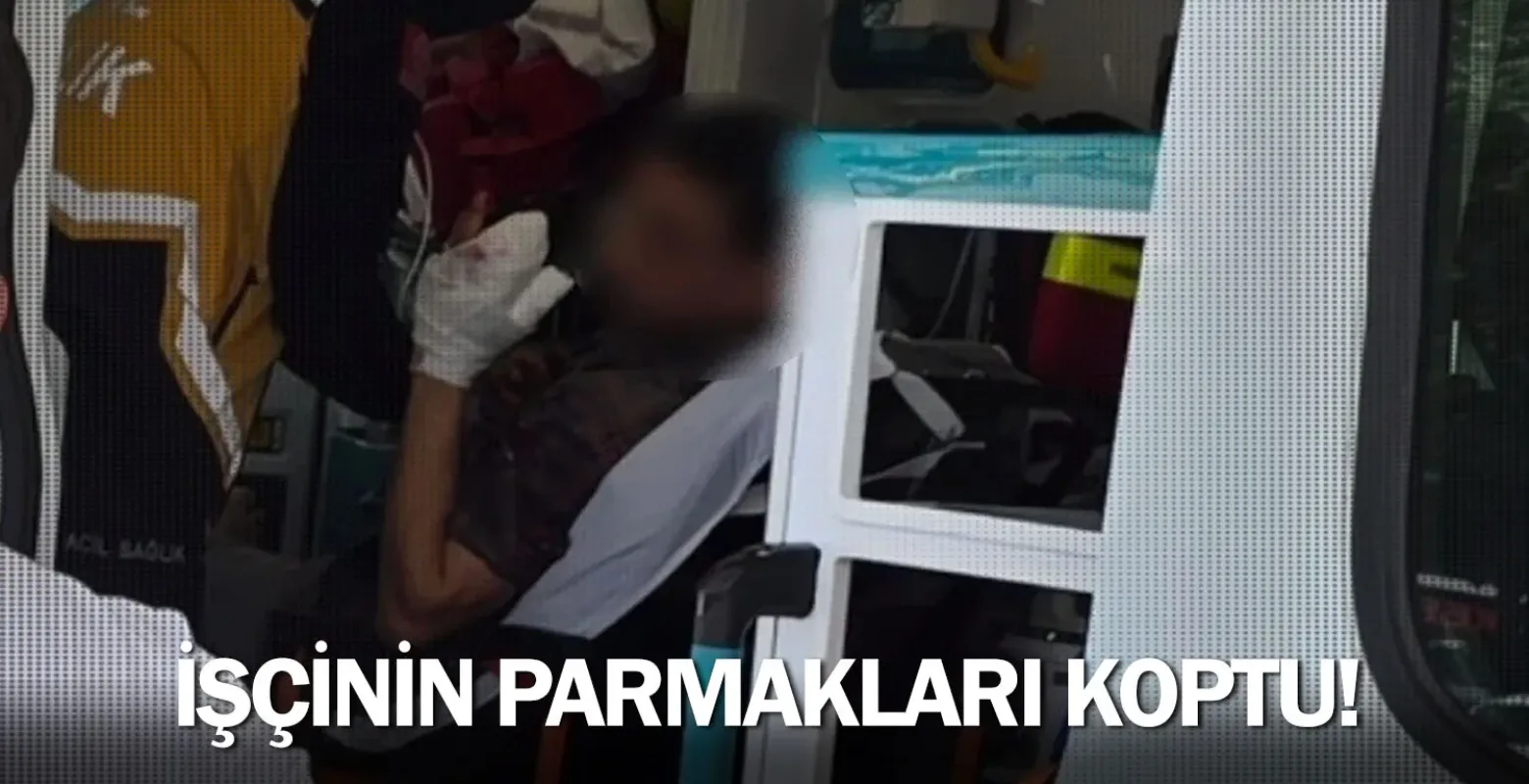 İşçinin parmakları koptu!