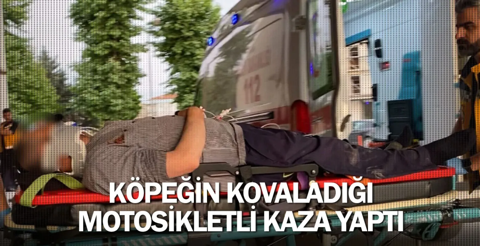 Köpeğin kovaladığı motosikletli kaza yaptı