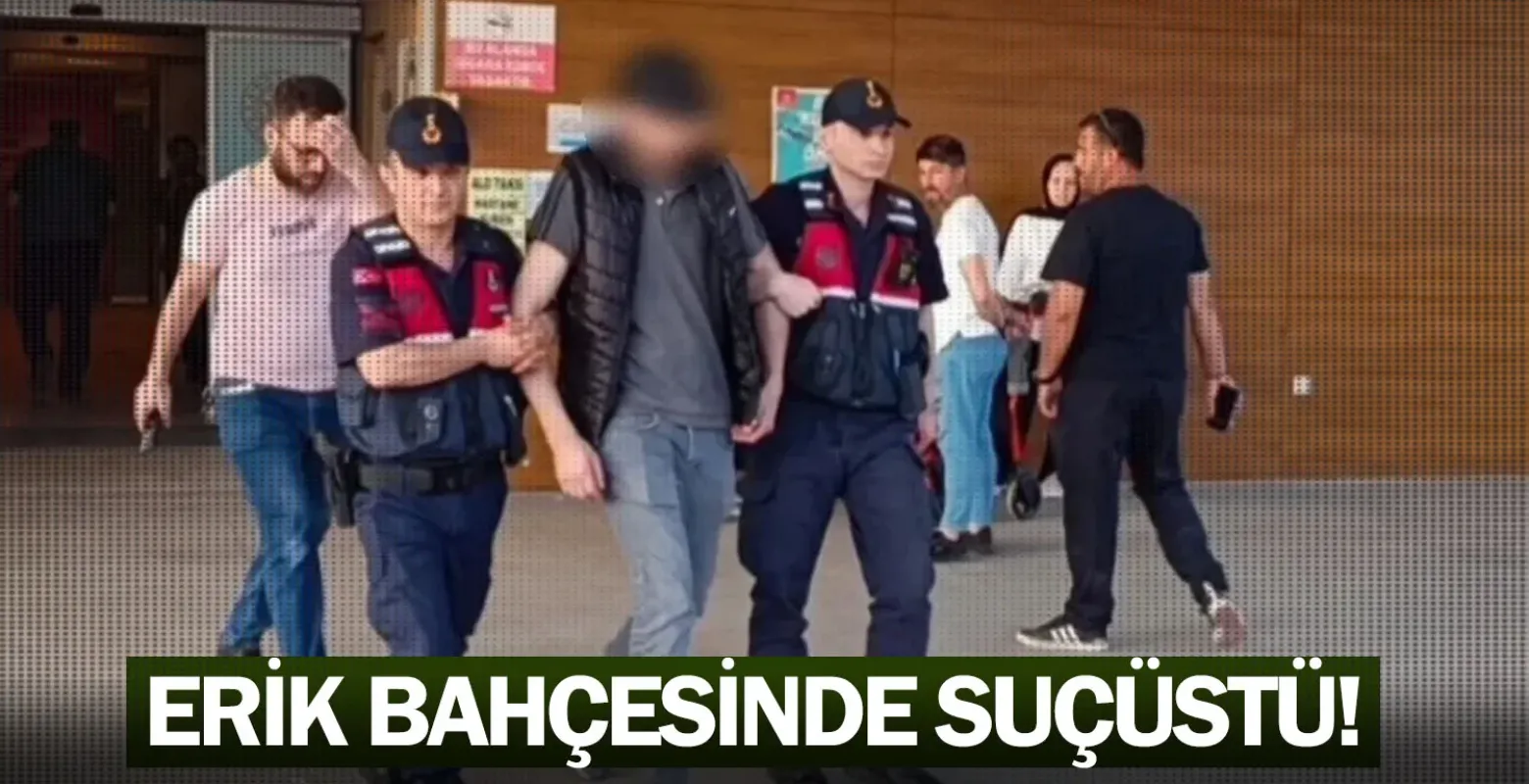 Erik bahçesinde suçüstü!