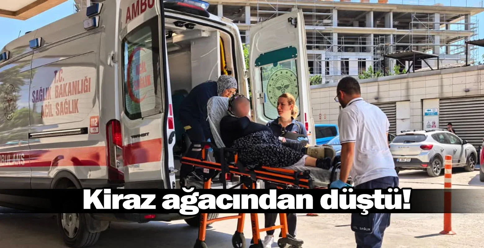Kiraz ağacından düştü!