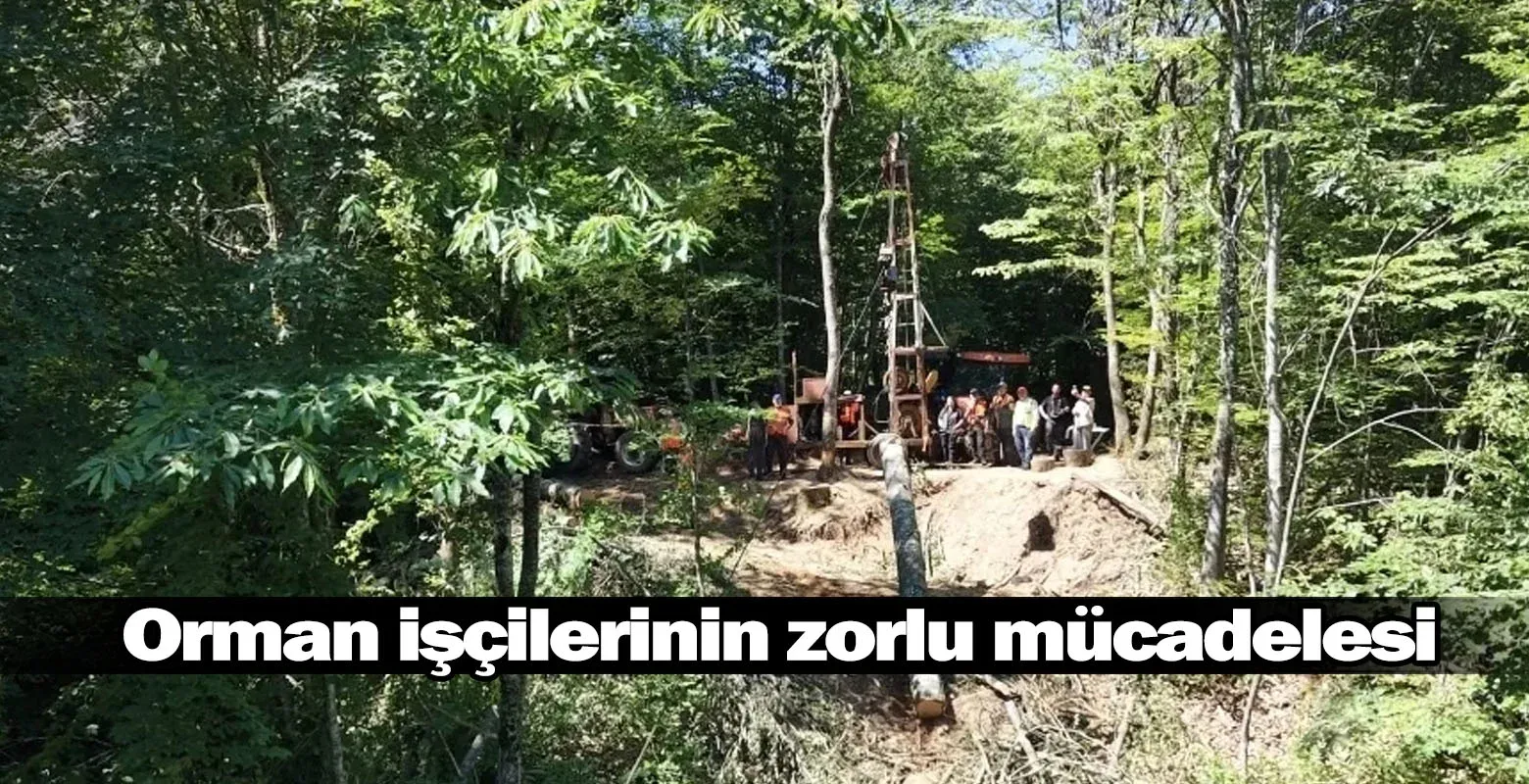 İnegöl'de orman işçilerinin zorlu mücadelesi