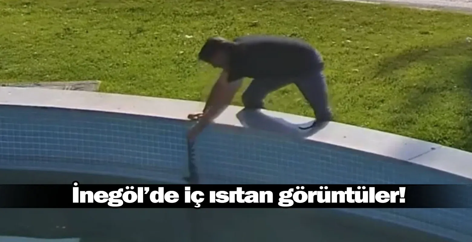 Havuzda Çırpınan Karganın Yardımına Koştu