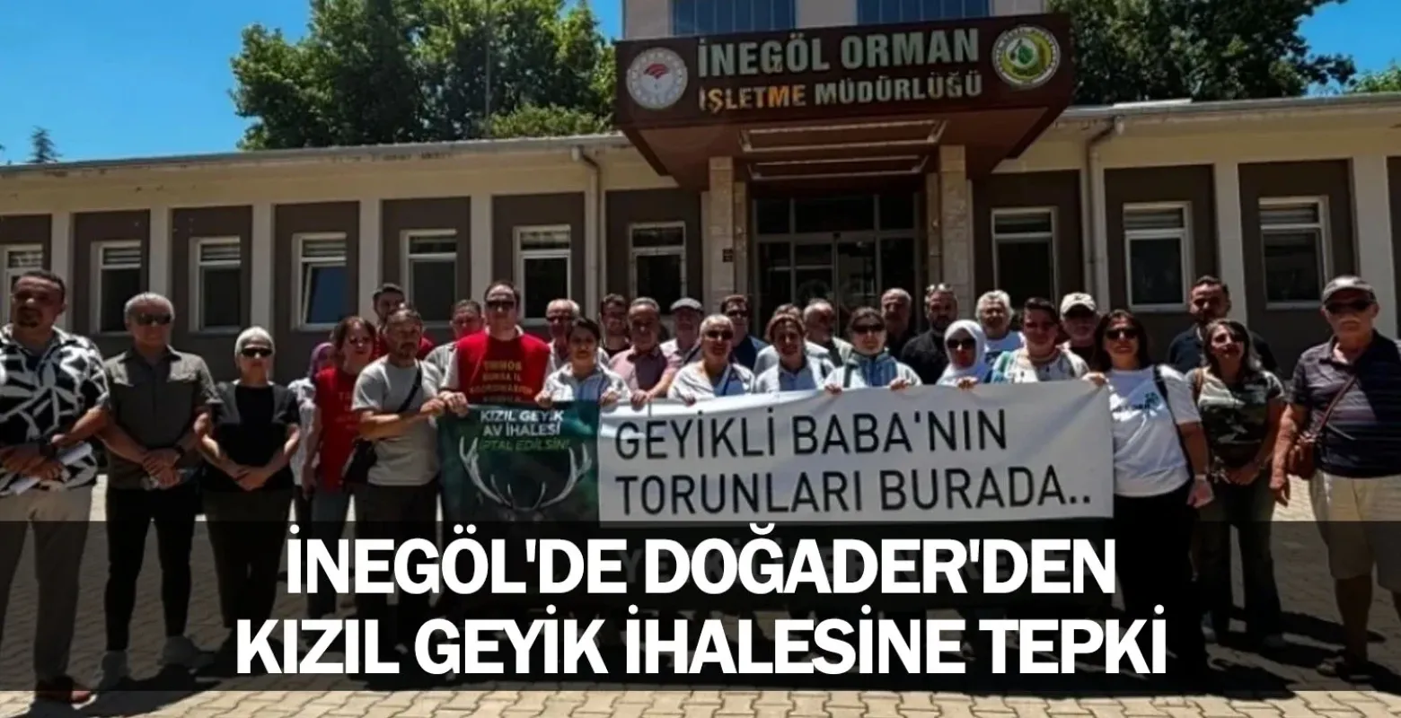 İnegöl'de DOĞADER'den kızıl geyik ihalesine tepki