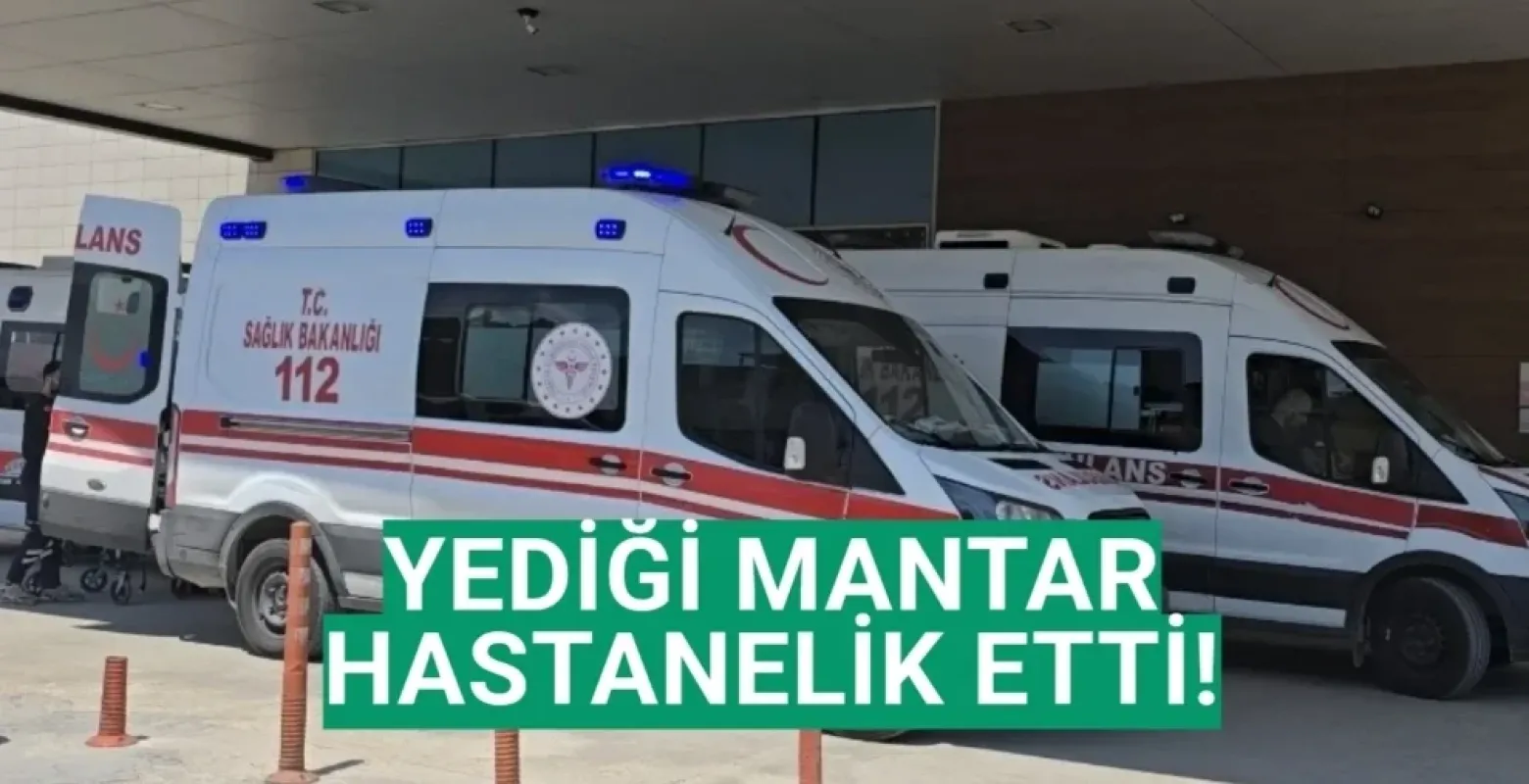 Yediği mantar hastanelik etti