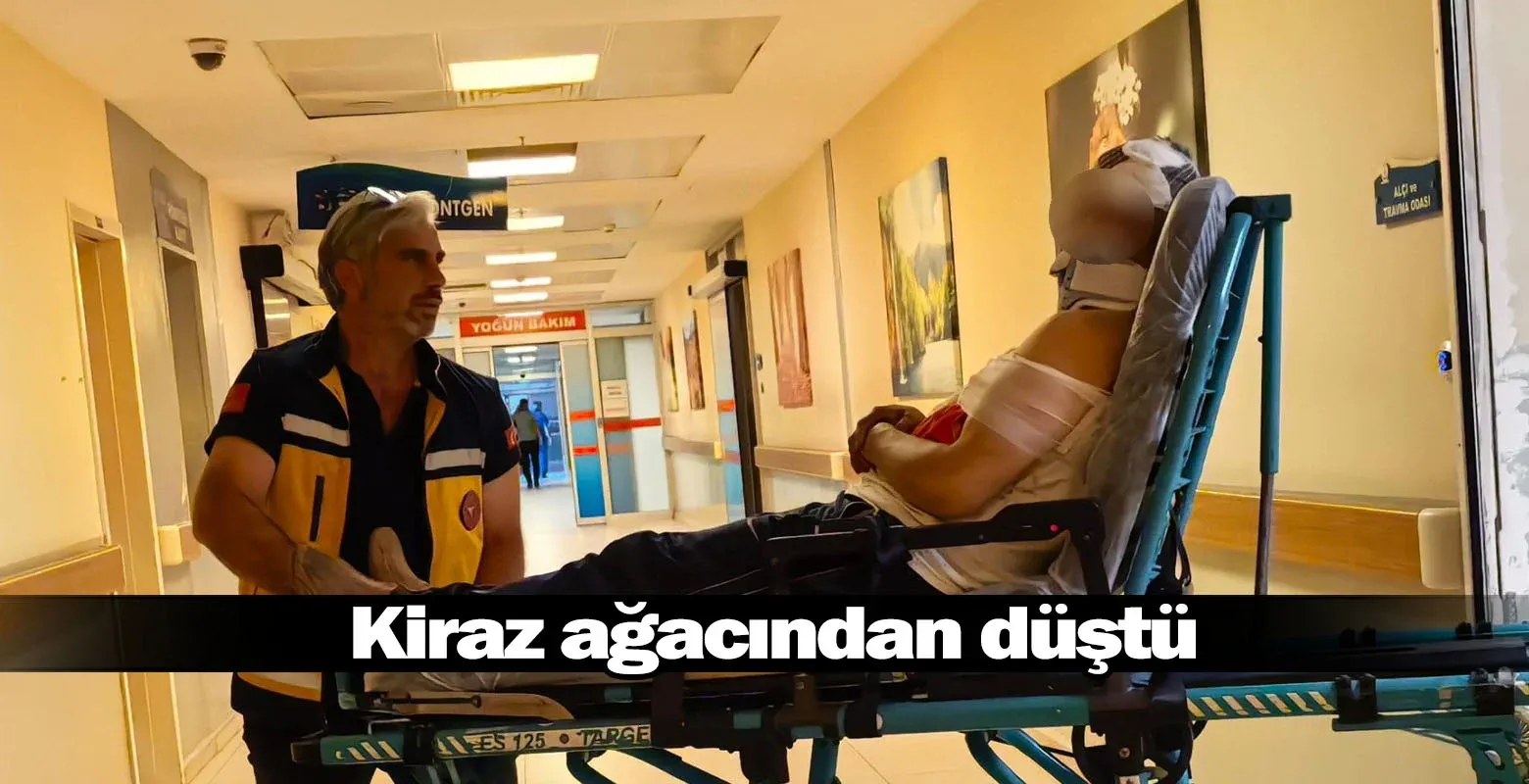 Kiraz ağacından düştü