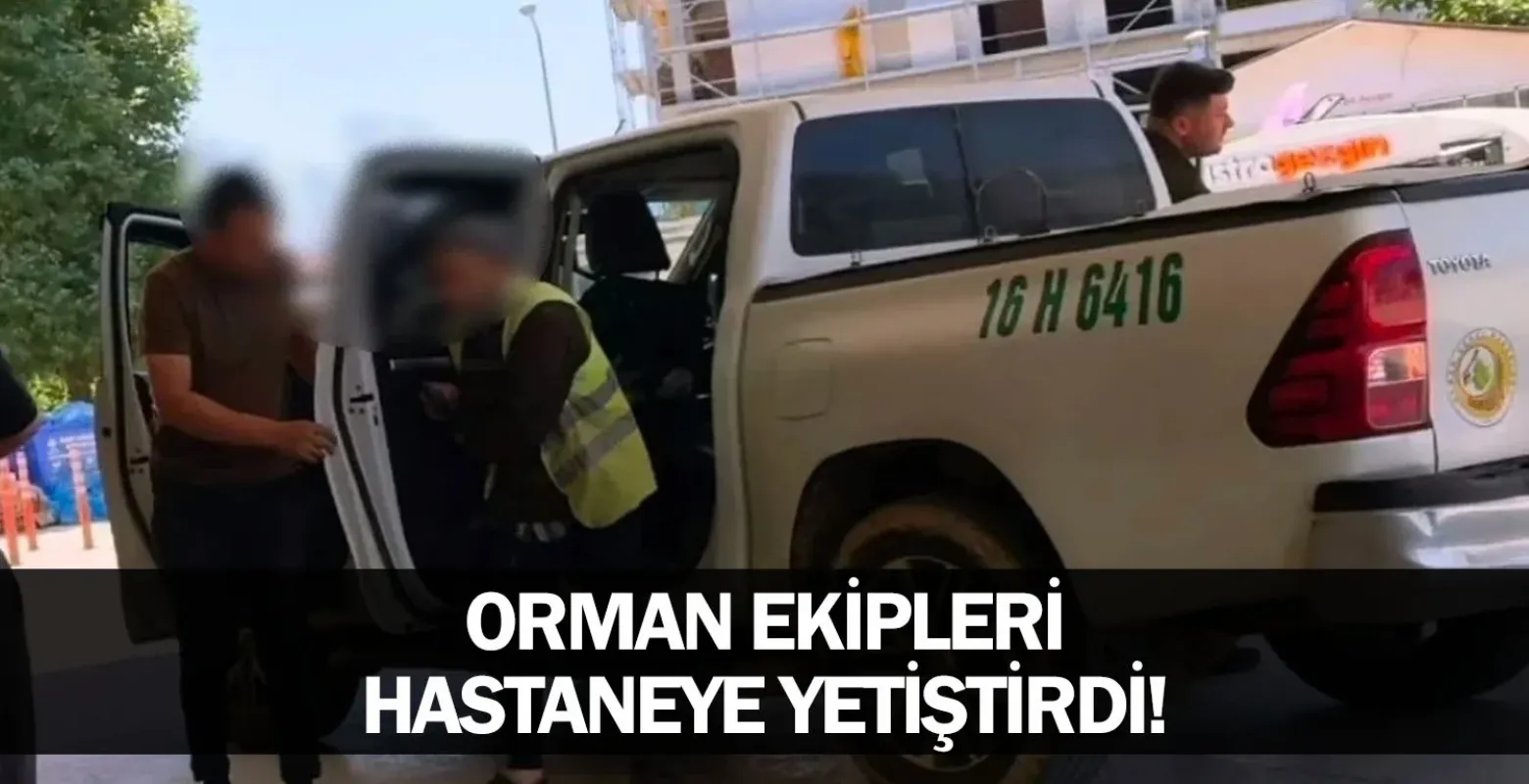 Orman ekipleri hastaneye yetiştirdi!