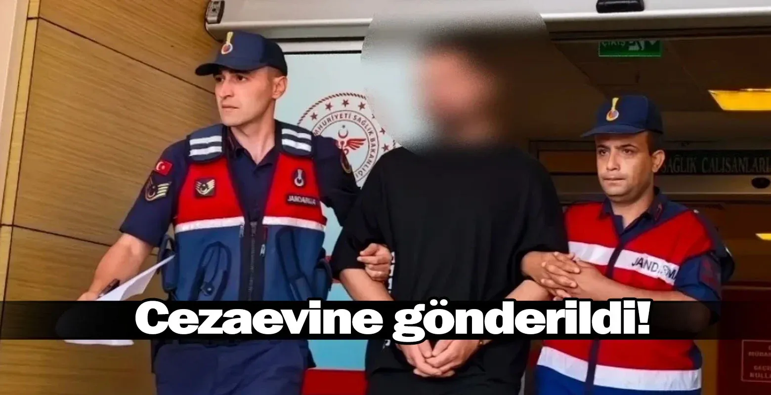 Cezaevine gönderildi!