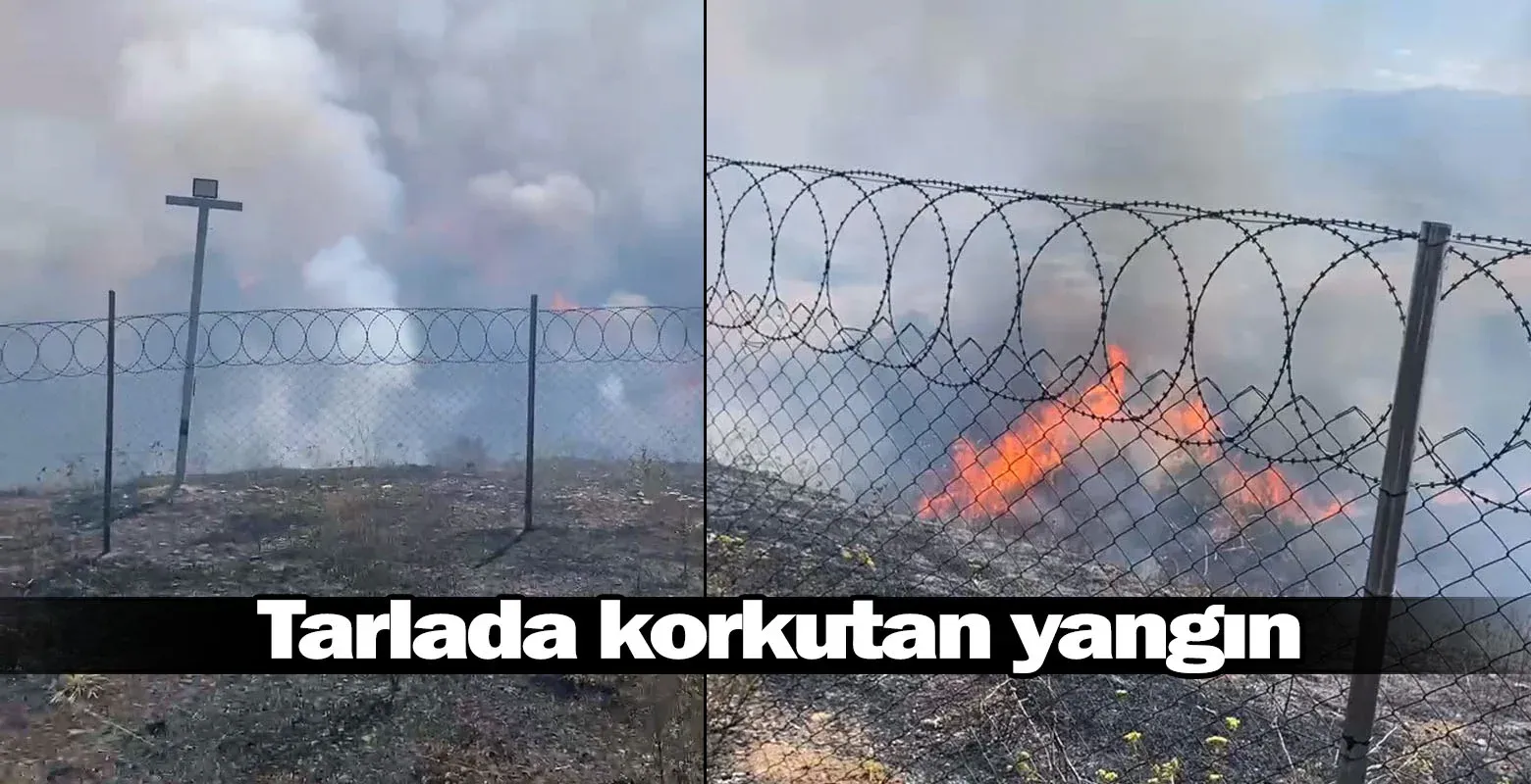 Tarlada korkutan yangın