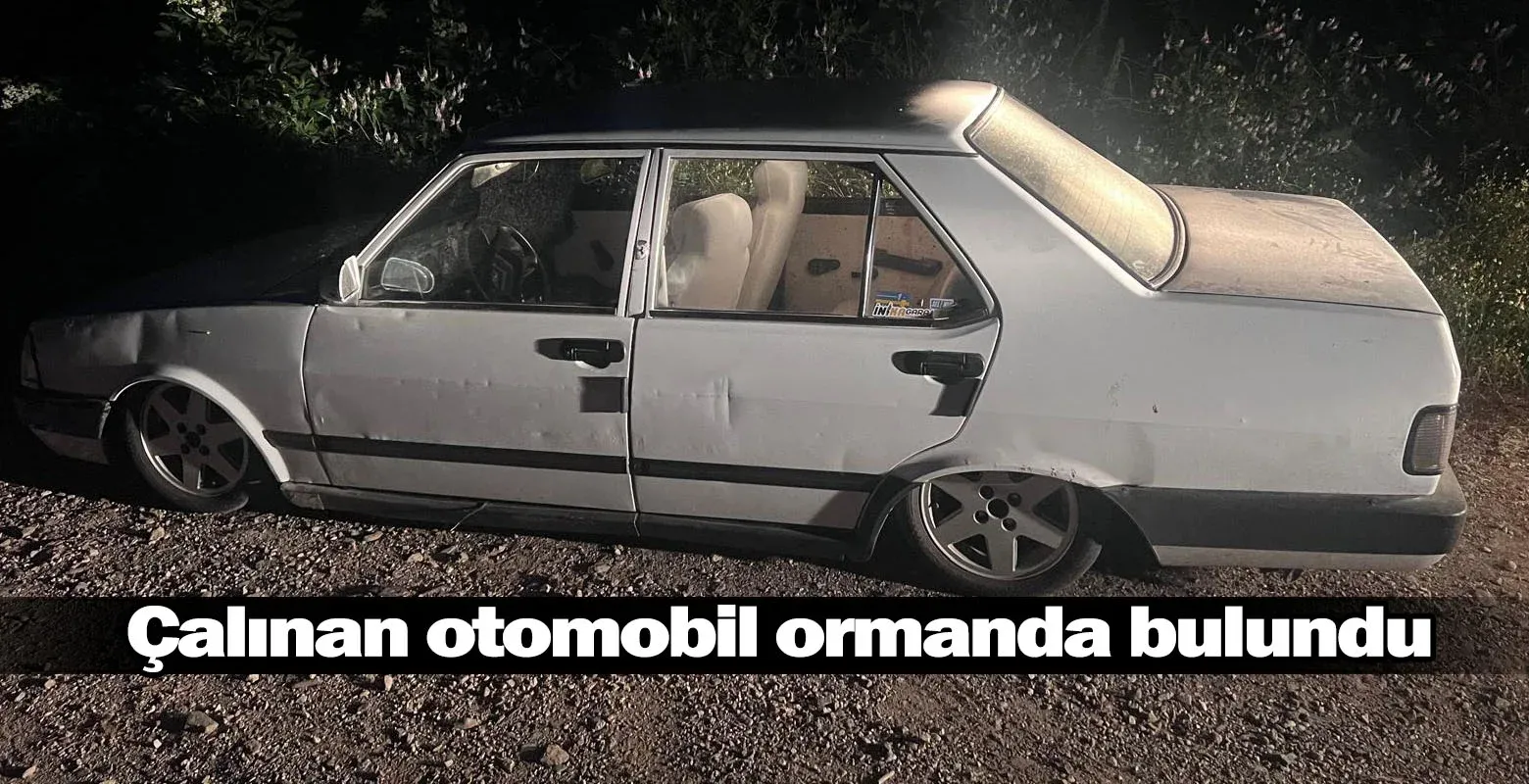Çalınan otomobil ormanda bulundu