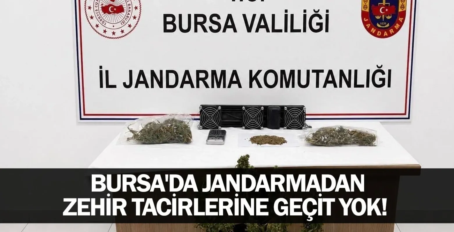 Bursa'da Jandarmadan zehir tacirlerine geçit yok!