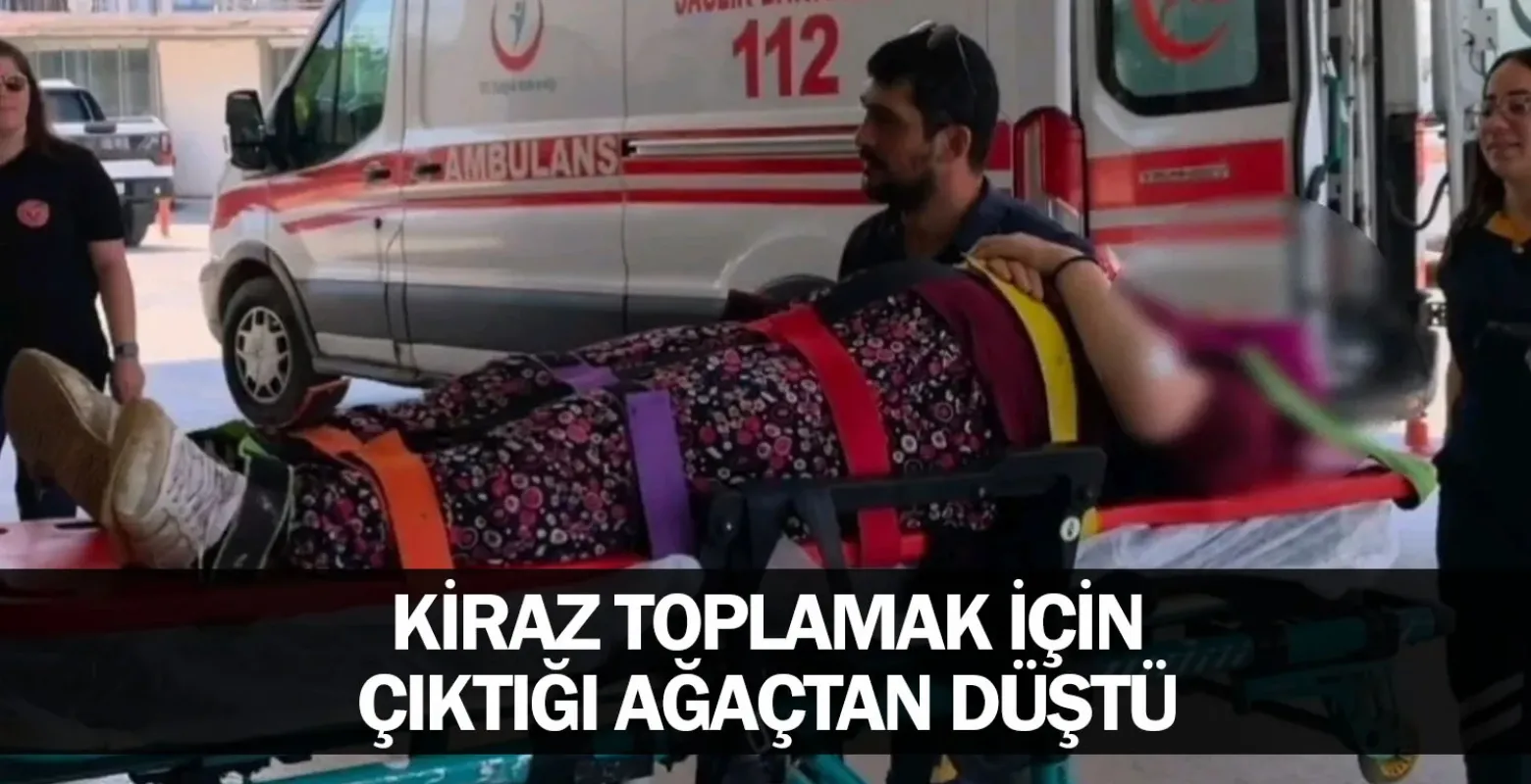 Kiraz toplamak için çıktığı ağaçtan düştü