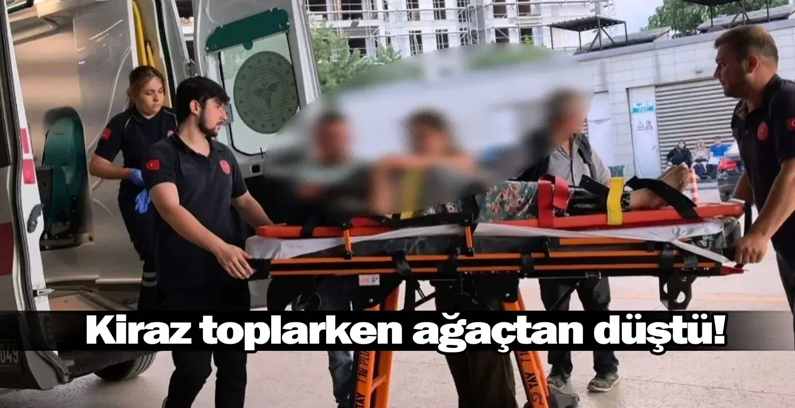 İnegöl'de kiraz toplarken ağaçtan düştü!