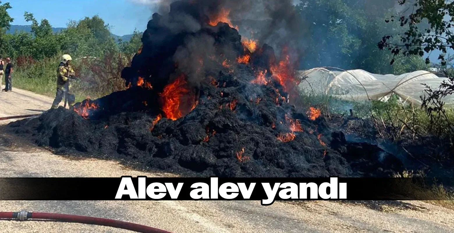 Alev alev yandı