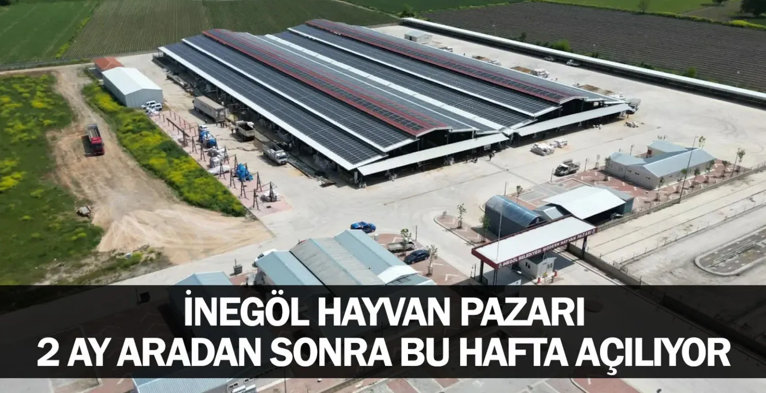 İnegöl hayvan pazarı 2 ay aradan sonra bu hafta açılıyor