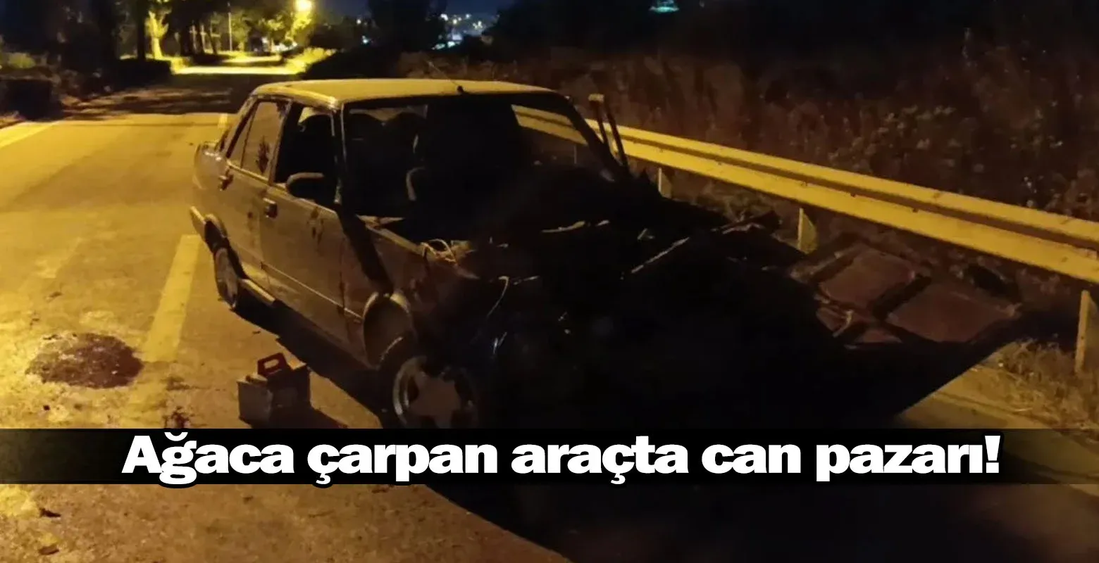 Ağaca çarpan araçta can pazarı!