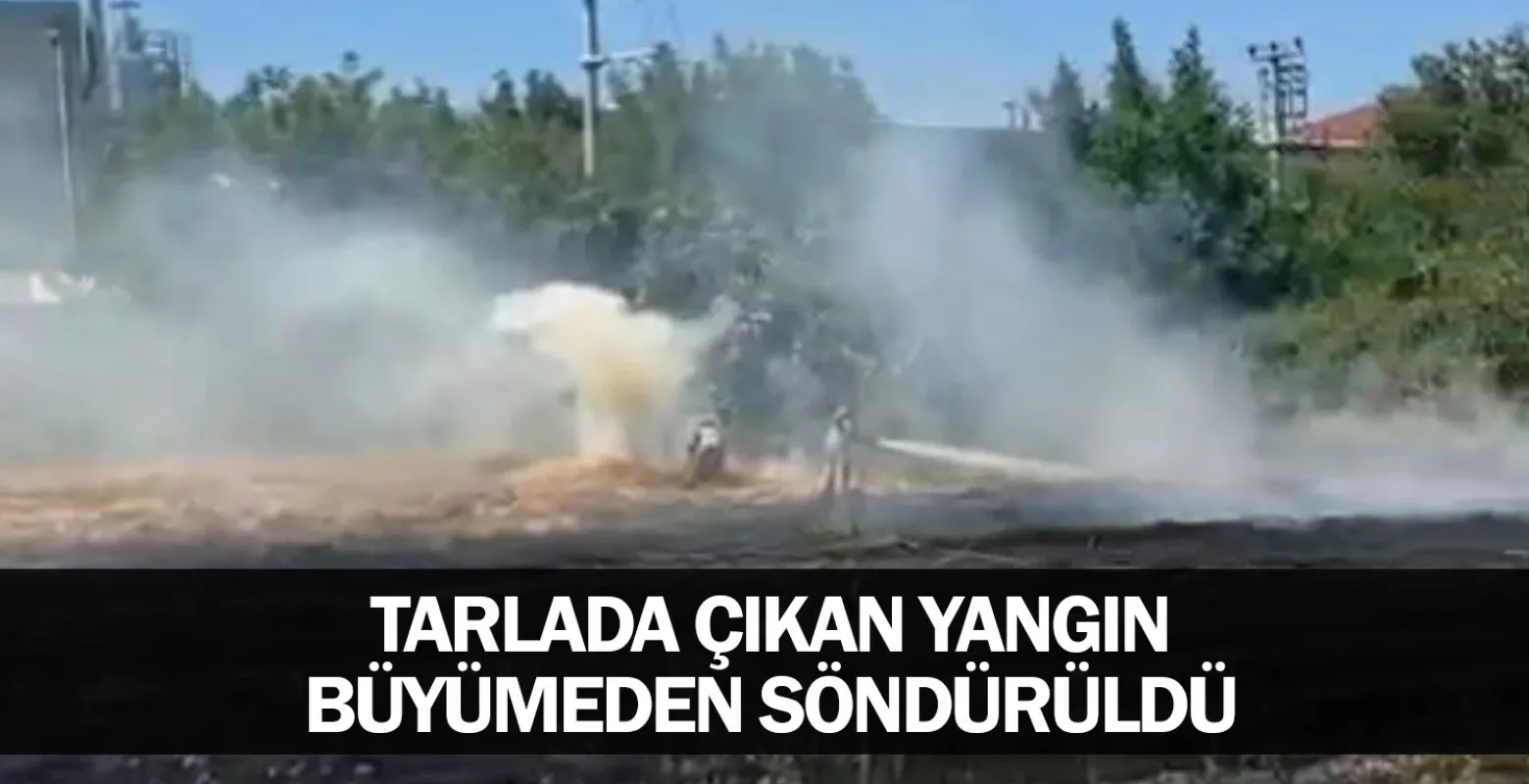 Tarlada çıkan yangın büyümeden söndürüldü