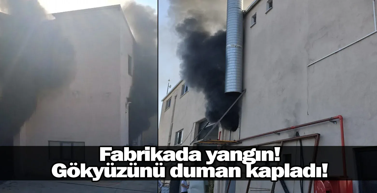 Fabrikada yangın! Gökyüzünü duman kapladı!