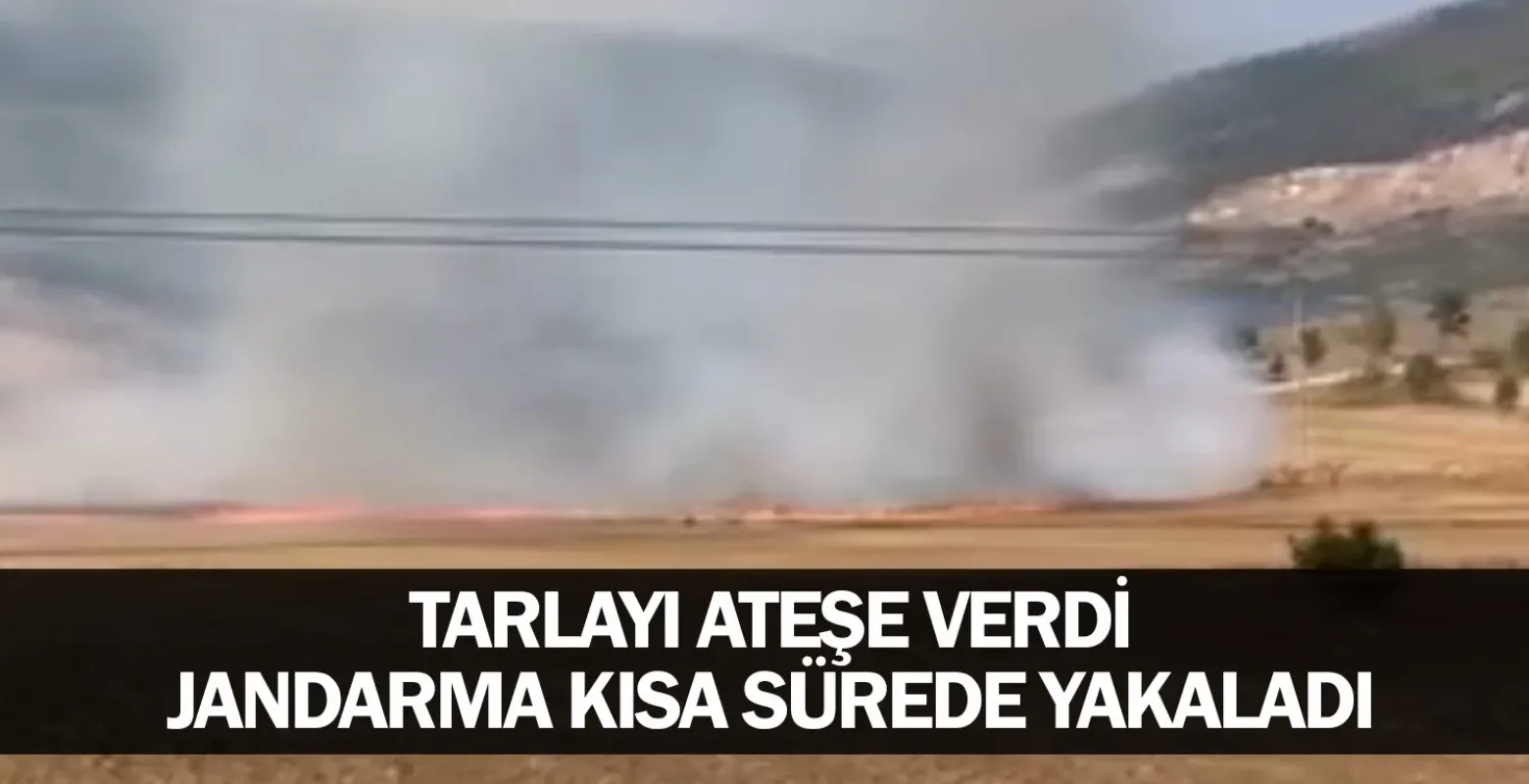 Tarlayı ateşe verdi, jandarma kısa sürede yakaladı