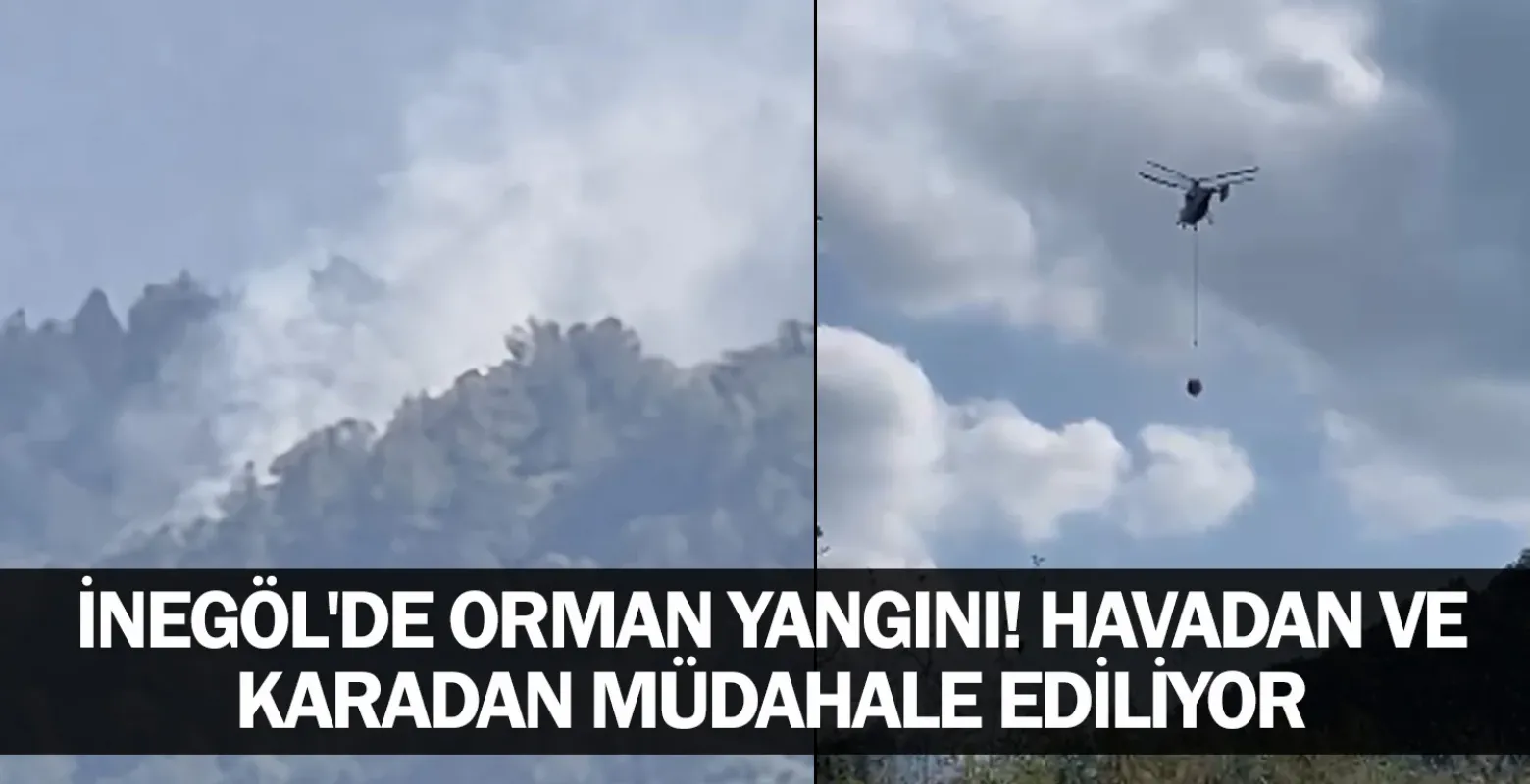 İnegöl'de orman yangını! Havadan ve karadan müdahale ediliyor