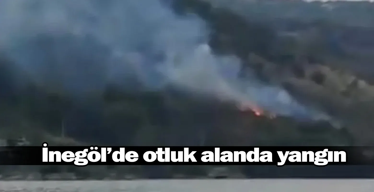 İnegöl'de otluk alanda yangın!