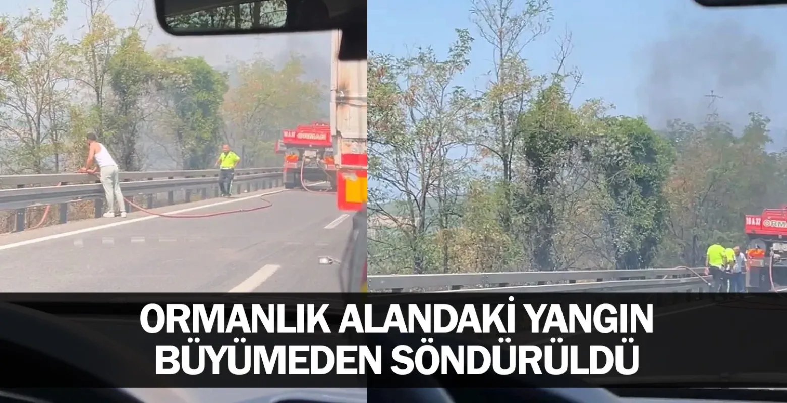 Ormanlık alandaki yangın büyümeden söndürüldü