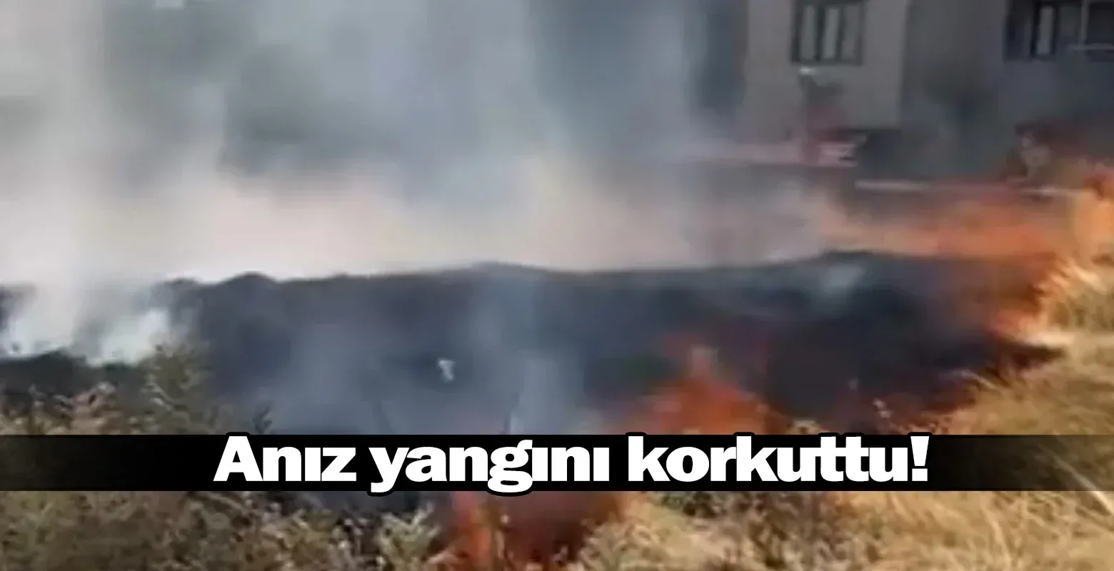 Anız yangını korkuttu!