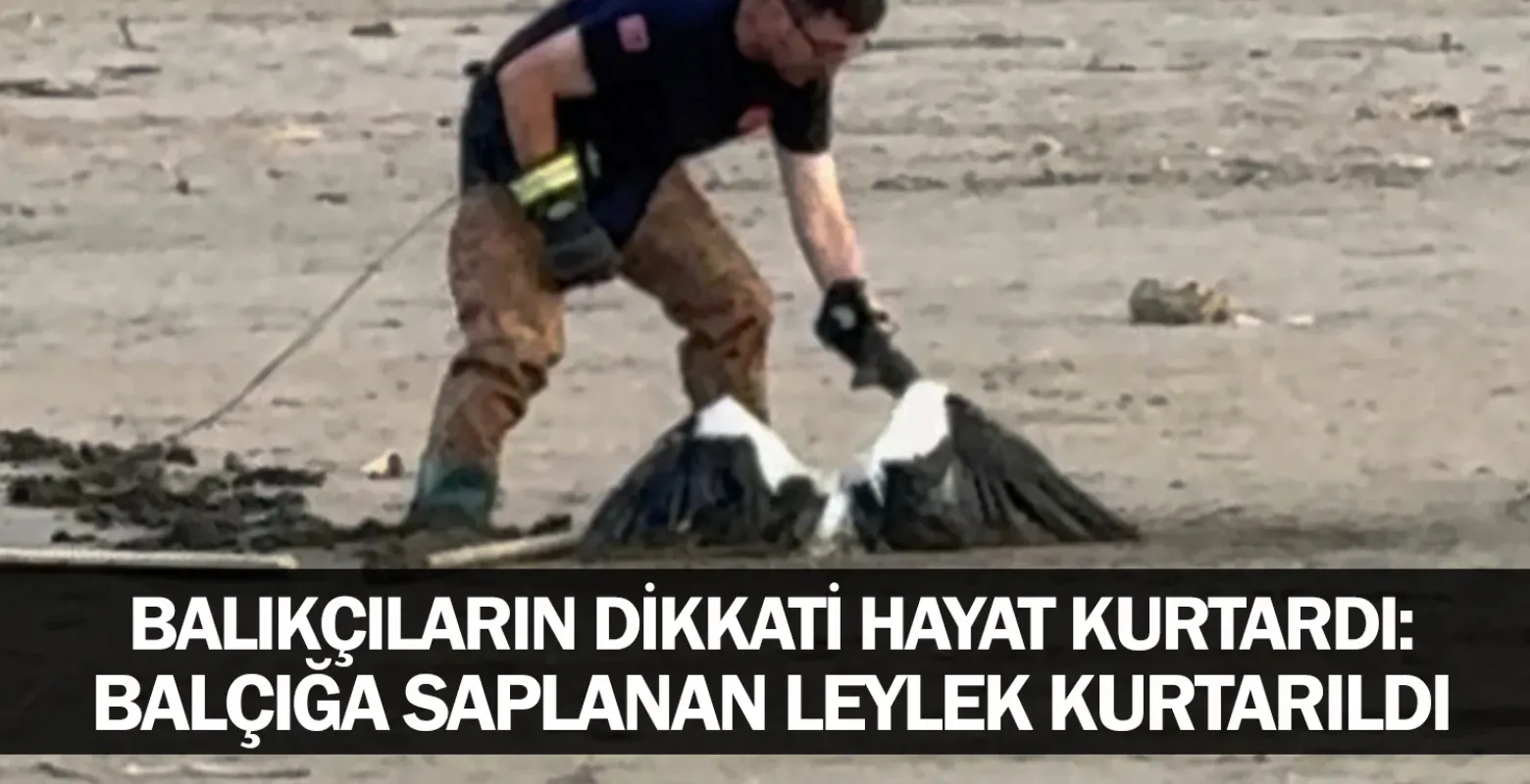 Balıkçıların Dikkati Hayat Kurtardı: Balçığa Saplanan Leylek Kurtarıldı