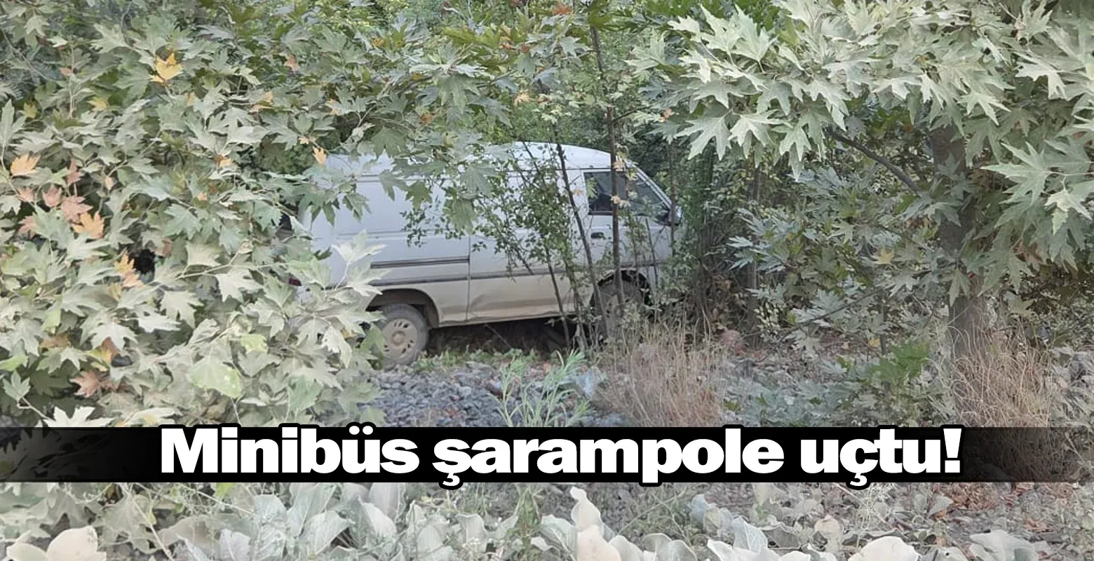 Minibüs şarampole uçtu!