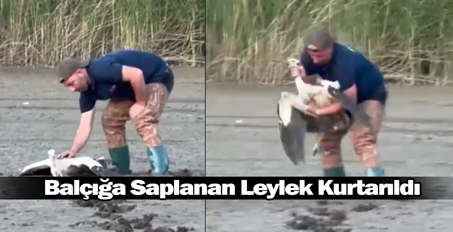 İnegöl'de Balçığa Saplanan Leylek Kurtarıldı