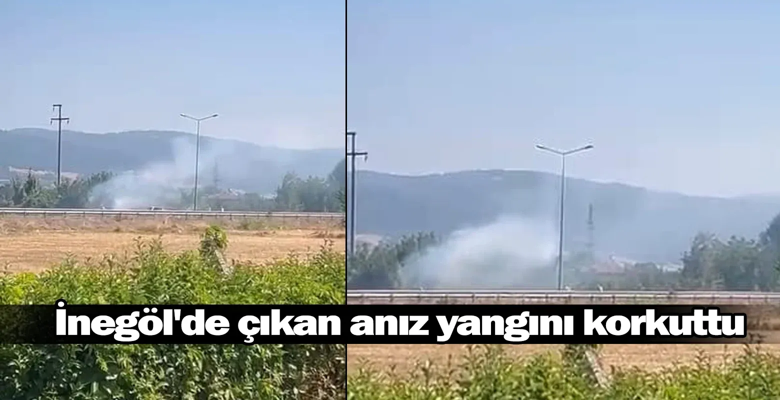 İnegöl'de çıkan anız yangını korkuttu