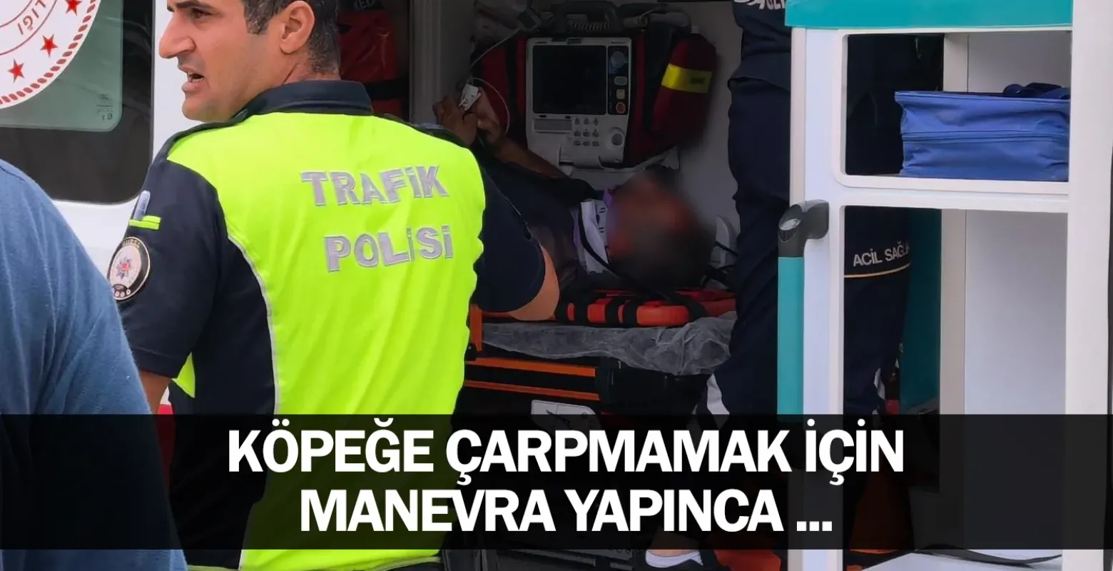 Köpeğe çarpmamak için manevra yapınca ...