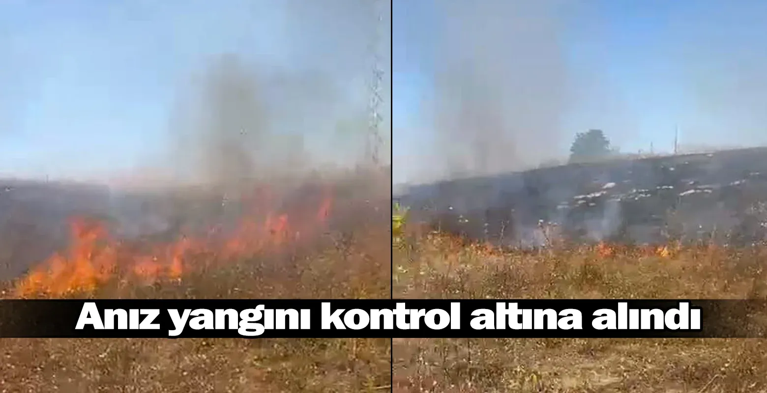 İnegöl'de anız yangını kontrol altına alındı