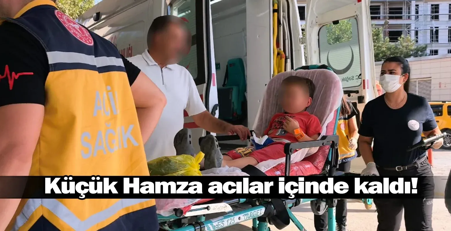 Küçük Hamza acılar içinde kaldı!