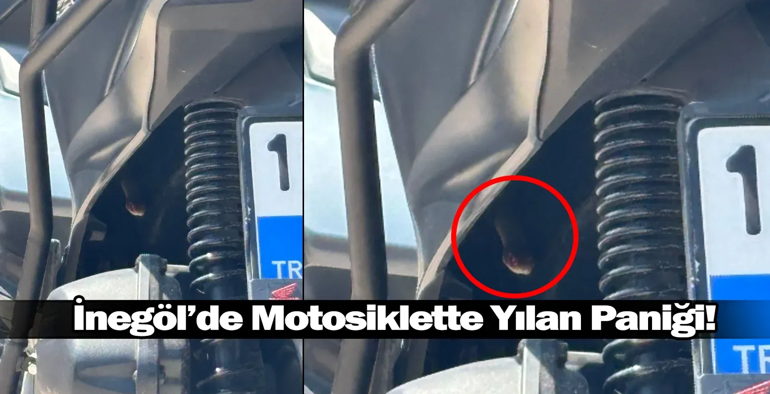 İnegöl’de Motosiklette Yılan Paniği!