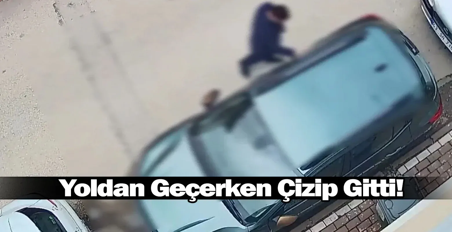 ​Yoldan Geçerken Çizip Gitti!