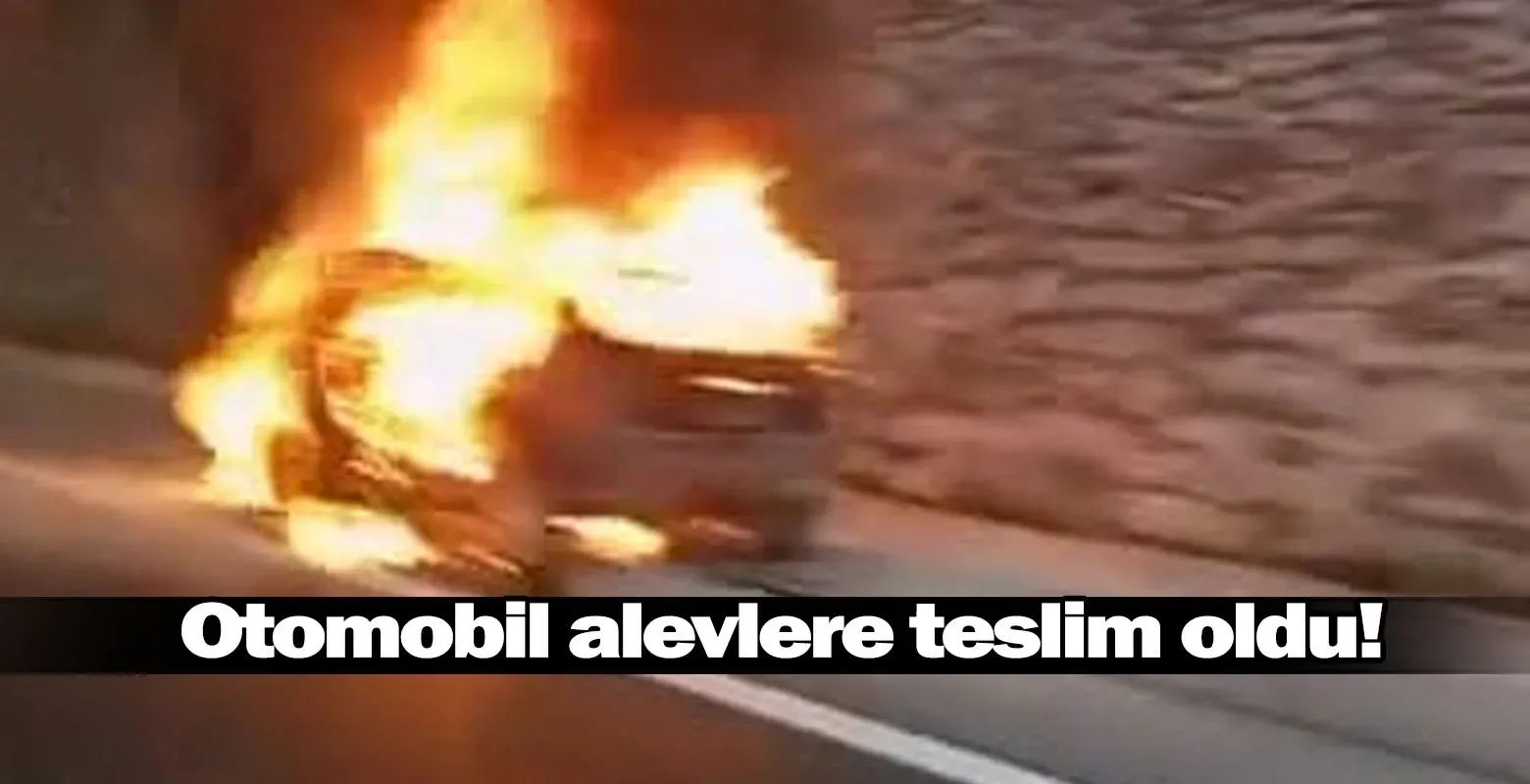 Otomobil alevlere teslim oldu