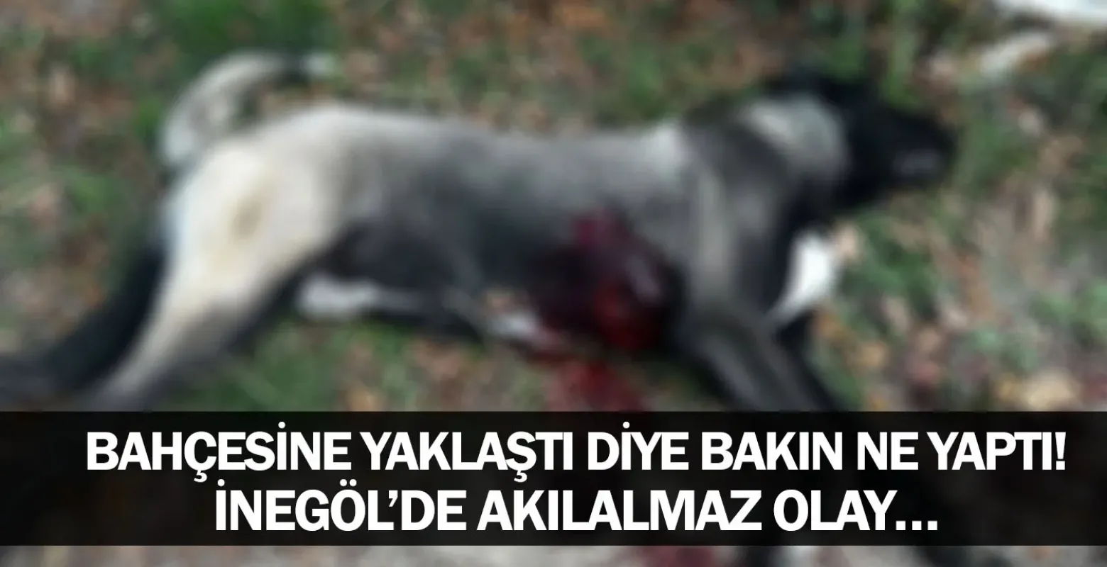 Bahçesine yaklaştı diye bakın ne yaptı! İnegöl’de akılalmaz olay…