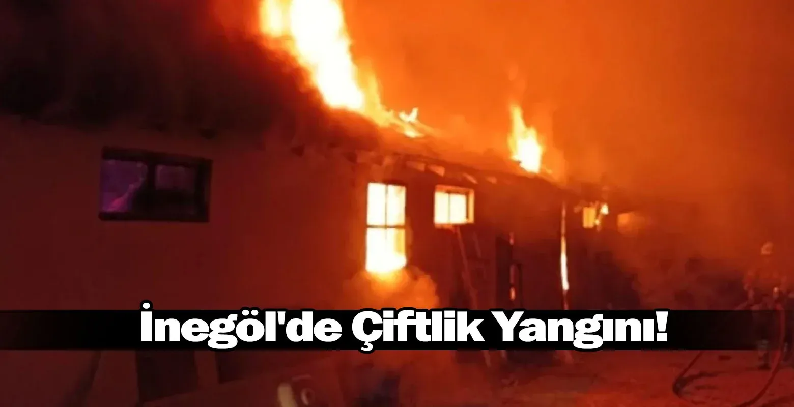 İnegöl'de Çiftlik Yangını!