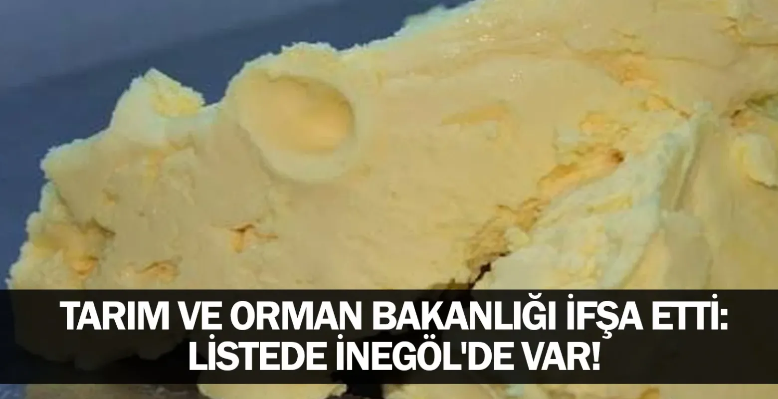 Tarım ve Orman Bakanlığı ifşa etti: Listede İnegöl'de var!