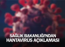 Sağlık Bakanlığı'ndan Hantavirüs açıklaması