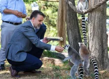 Başkan Vekili Biba’dan Hayvanat Bahçesi’ne ziyaret