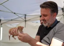 Büyükşehir'den can dostları için yuva seferberliği