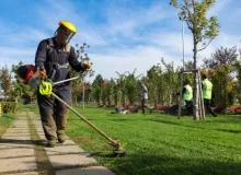 Büyükşehir’den park ve bahçelere düzenli bakım