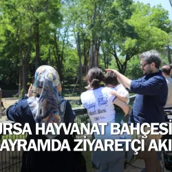 Bursa Hayvanat Bahçesi'ne bayramda ziyaretçi akını