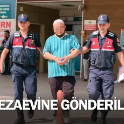 Cezaevine gönderildi