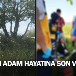 Yaşlı adam hayatına son verdi!