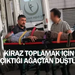 Kiraz toplamak için çıktığı ağaçtan düştü!